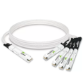 O4Q12-800G-CP2.5M